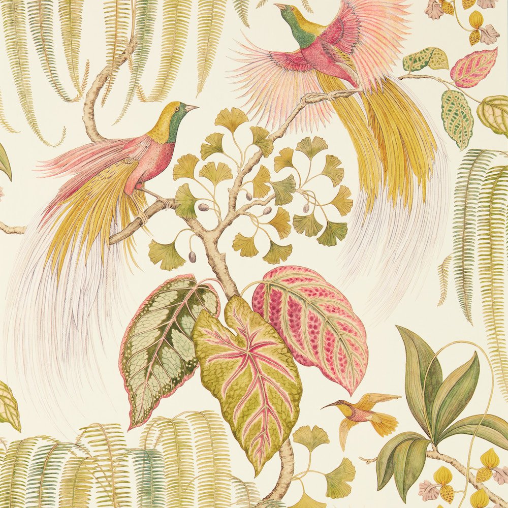Sanderson Bird Of Paradise Olive Wallpaper 216653