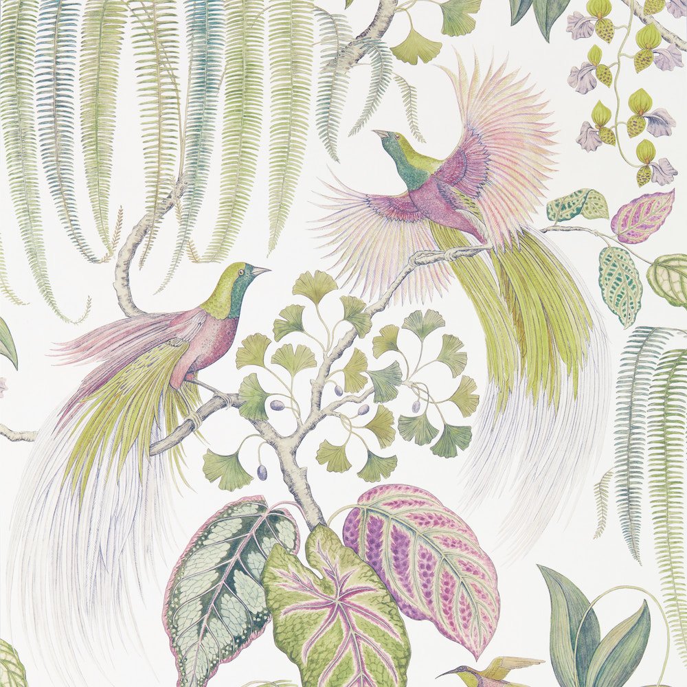 Sanderson Bird Of Paradise Orchid Wallpaper 216654