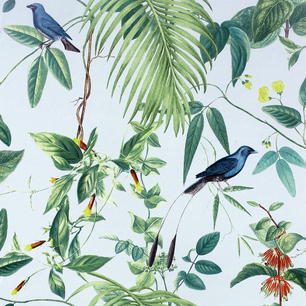 Arthouse Exotic Garden Blue Wallpaper 921609