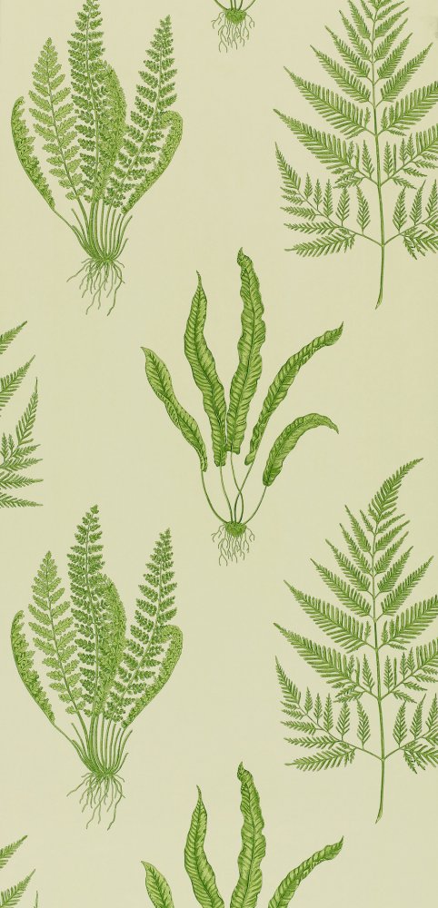 Sanderson Woodland Ferns Green Wallpaper DAPGWO102