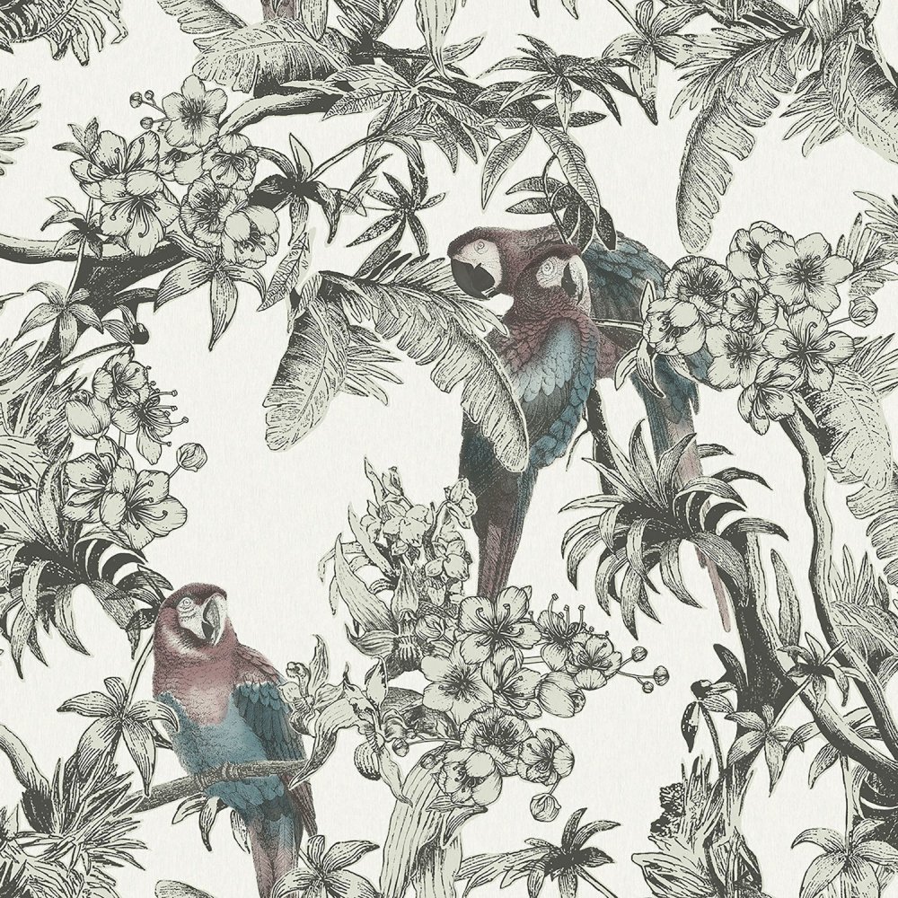 Ted Baker Macaw Wallpaper ED13085