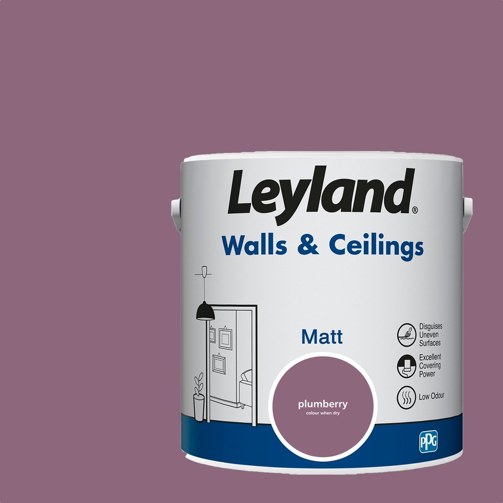 Leyland Retail Plumberry Matt Paint
