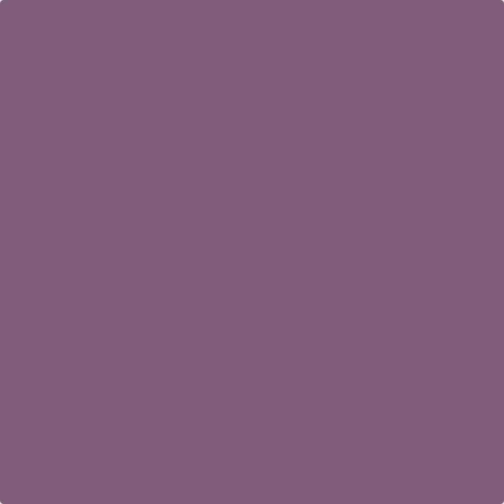 Sanderson Meadow Violet Paint