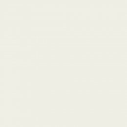 Leyland Trade Rinsey Paint