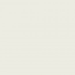 Leyland Trade Aure White Paint