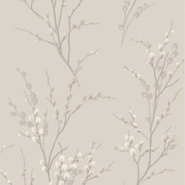 Laura Ashley Pussy Willow Dove Grey Wallpaper with delicate branches