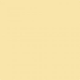Leyland Trade Sunkiss Paint