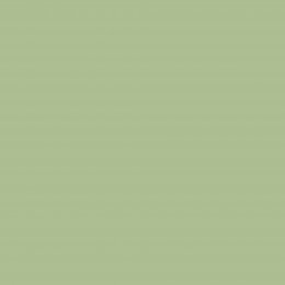Joules Swanton Novas Paint