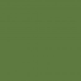 Joules Upper Bridge Green Paint
