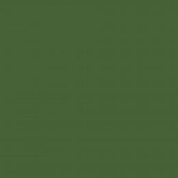 Joules Peak Green Paint