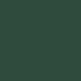 Joules Canal Mallard Paint