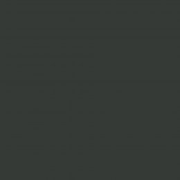Joules Midnight Stars Paint