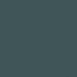 Joules Wild Wonders Paint