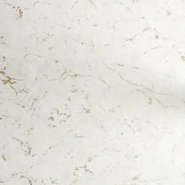 Flat image of Superfresco Easy Gilded Plaster Stone and Pale Gold wallpaper