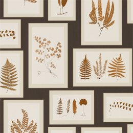 Sanderson Fern Gallery wallpaper 215713