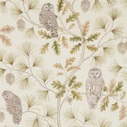 Sanderson Owlswick Briarwood Wallpaper 216597