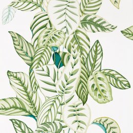 Sanderson Calathea Botanical Green Wallpaper 216630