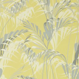 Sanderson Palm House Chartreuse/Grey Wallpaper 216642