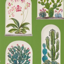 Sanderson Terrariums Botanical Green/Multi Wallpaper 216656