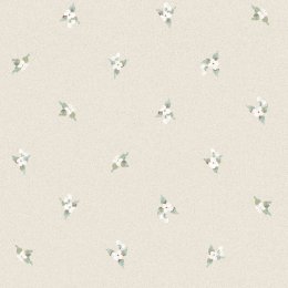 Galerie Abby Rose 4 Wallpaper AF37748