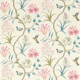Sanderson Clementine Dusky Pink Wallpaper 213386