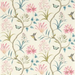 Sanderson Clementine Dusky Pink Wallpaper 213386