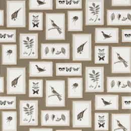 Sanderson Picture Gallery Taupe/Sepia Wallpaper