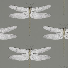 Harlequin Demoiselle Graphite & Almond Wallpaper