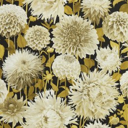 Harlequin Dahlia Fig Blossom, Nectar and Black Earth Wallpaper