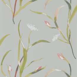 Harlequin Saona Coral & Silver Wallpaper