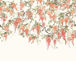 ohpopsi Trailing Wisteria Peach Wall Mural ICN50112M