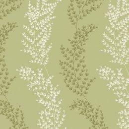 ohpopsi Mimosa Trail Sage Olive Wallpaper JRD50109W