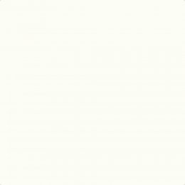 Johnstone's Trade Swansong Paint