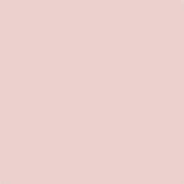 Johnstone's Trade Cool Melon Paint