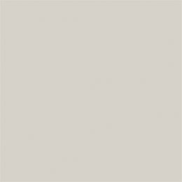 Sanderson Grey Birch LT Paint