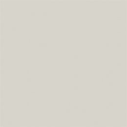 Sanderson Barely Beige Paint