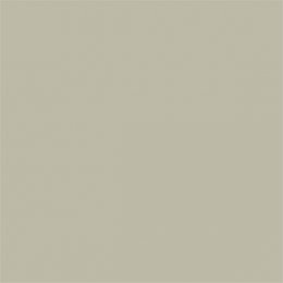 Sanderson Mushroom Grey LT Paint
