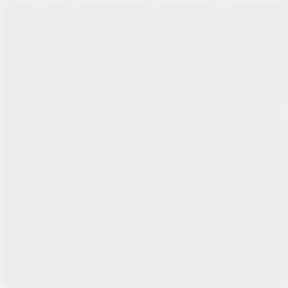 Sanderson Crystal Grey Paint