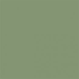 Sanderson Canopy Green Paint