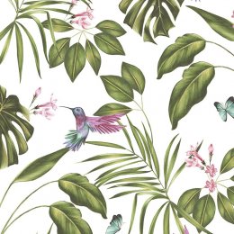 ohpopsi Hummingbird Wilderness White Wallpaper WLD53114W