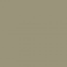 Flat image of Abigail Ahern Moody Sage paint in a muted sage green finish