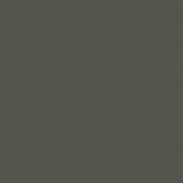 Flat image of Abigail Ahern Sea Botanic paint in a dusky forest green finish