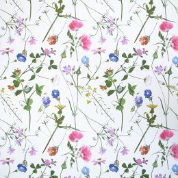 AS  Creation Wild Meadow WallpaperAS  Creation Wild Meadow Wallpaper 389012