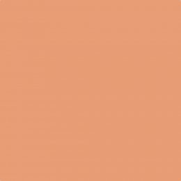 Leyland Trade Beagle Beige Paint