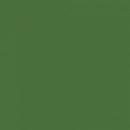 Flowering Meadow paint swatch in mid-toned forest green