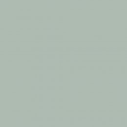 Peaceful Day paint swatch in duck egg blue