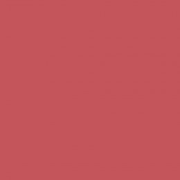 Roses & Bows paint swatch in burnt red
