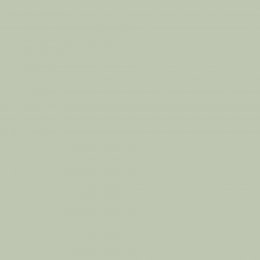Summer Sprigs paint swatch in light sage green