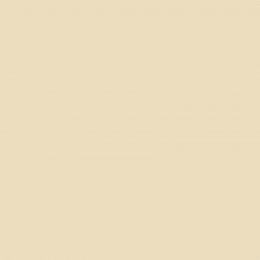 Leyland Trade Charity Paint
