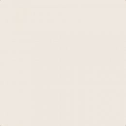 Flat image of Craig & Rose Chinese White paint with a soft white finish